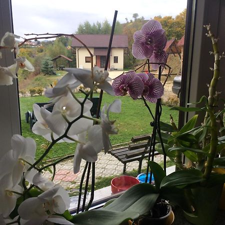 Cabana 7 Brazi Poiana Mărului Esterno foto