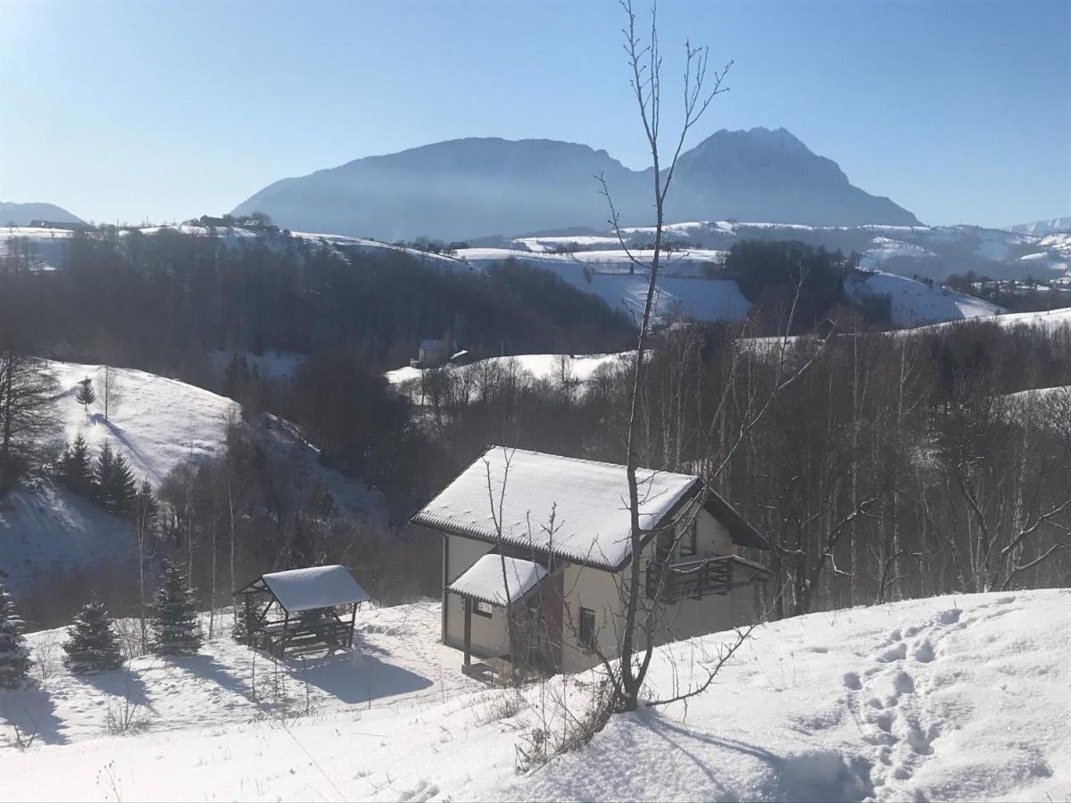 Cabana 7 Brazi Poiana Mărului Esterno foto