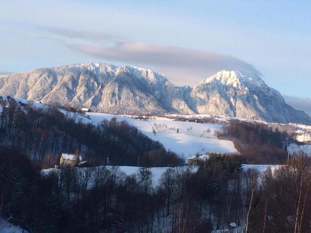 Cabana 7 Brazi Poiana Mărului Esterno foto