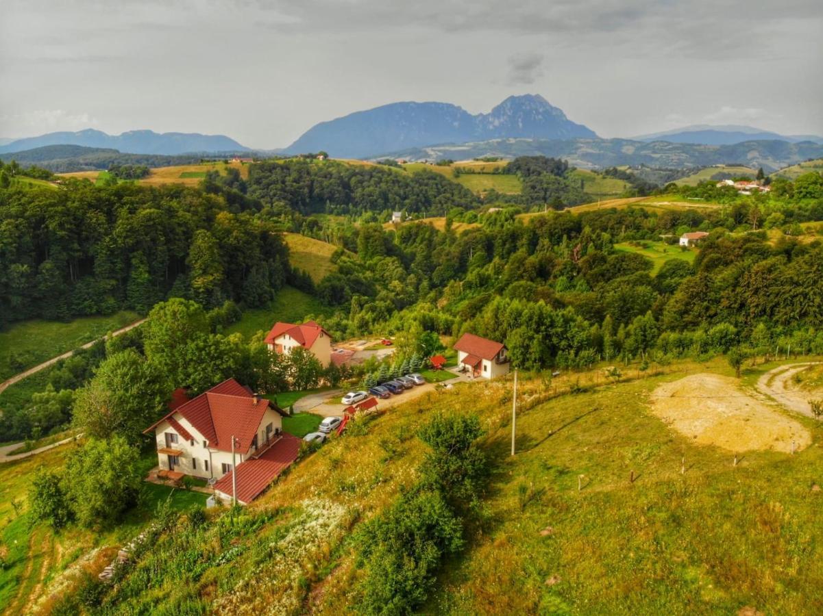 Cabana 7 Brazi Poiana Mărului Esterno foto