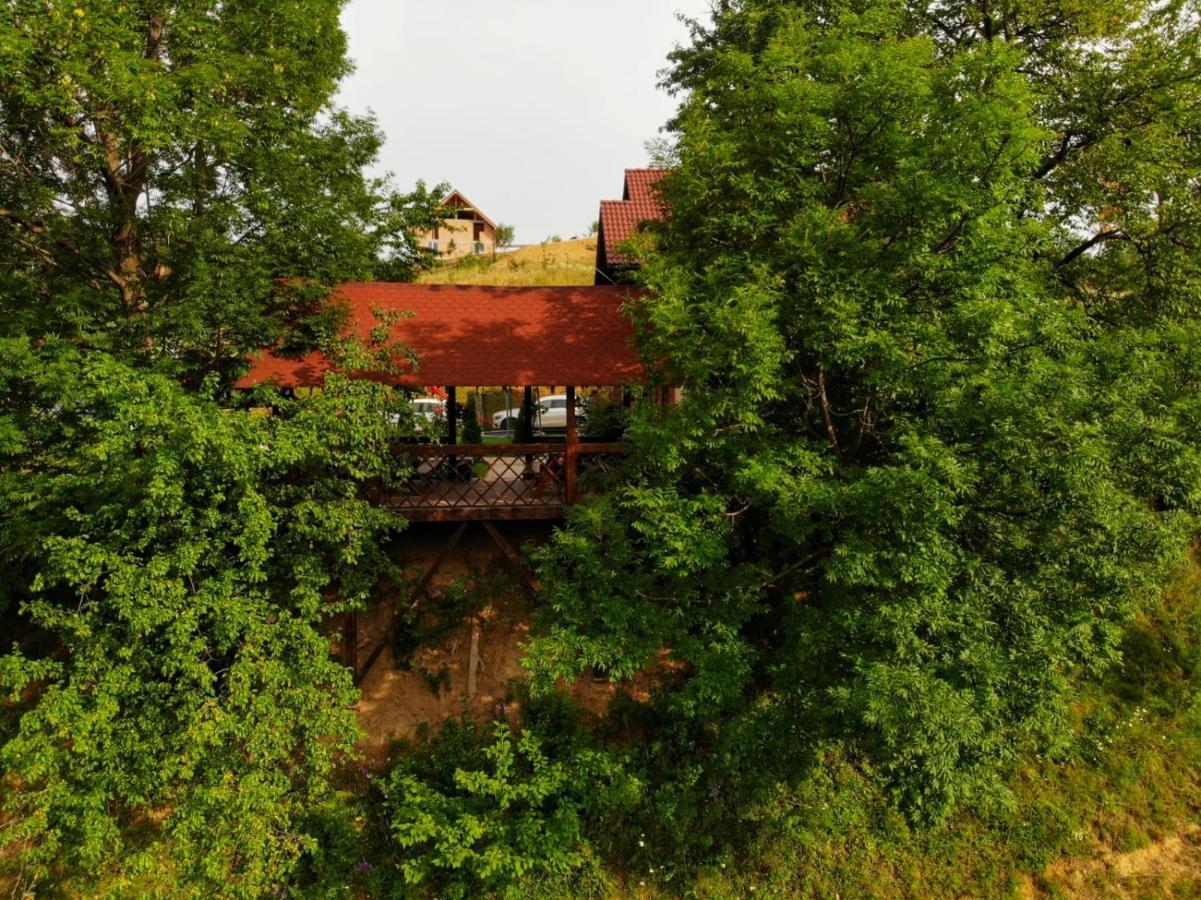 Cabana 7 Brazi Poiana Mărului Esterno foto