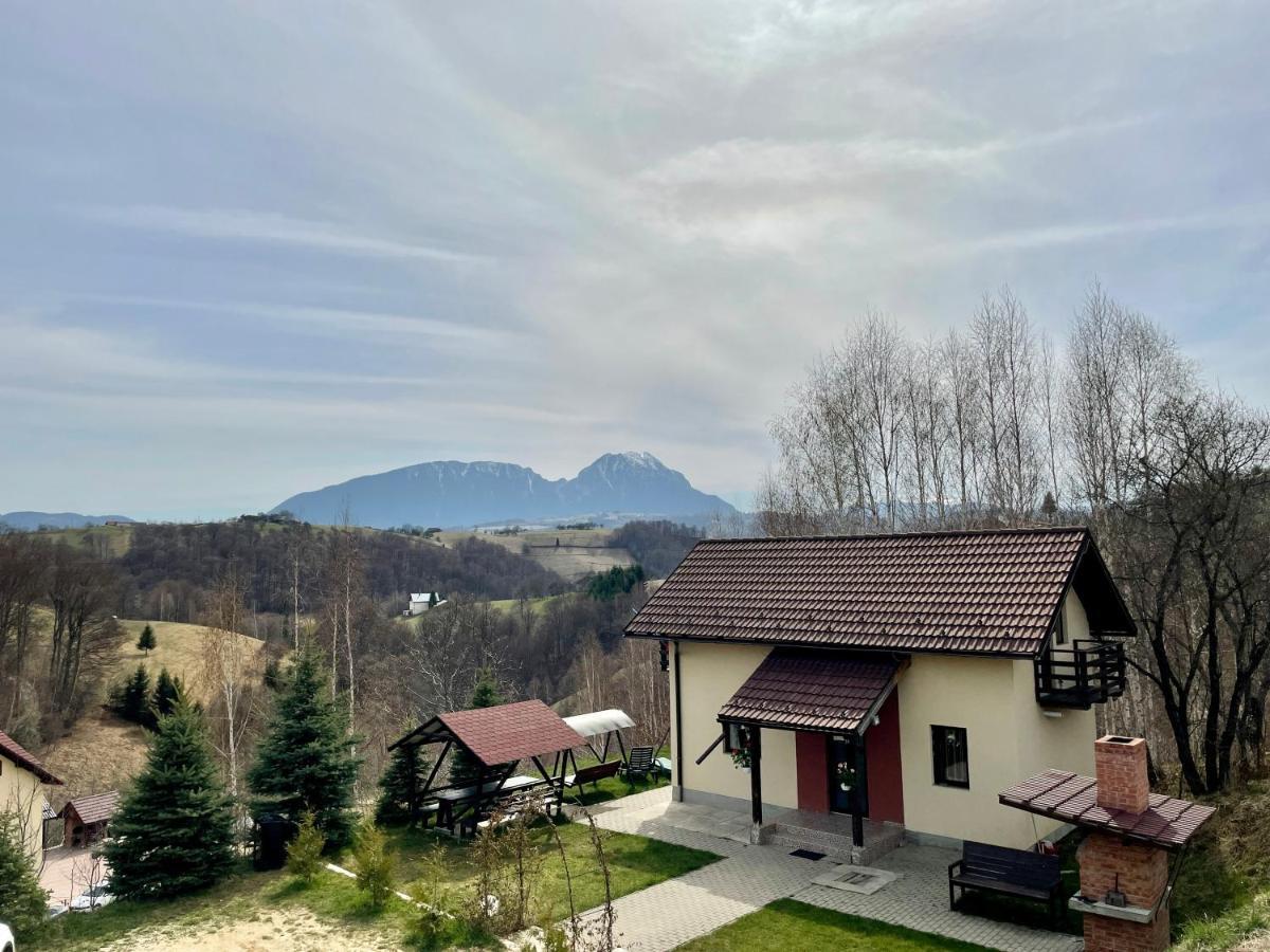 Cabana 7 Brazi Poiana Mărului Esterno foto