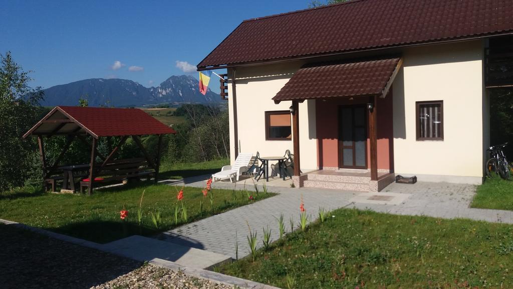 Cabana 7 Brazi Poiana Mărului Esterno foto