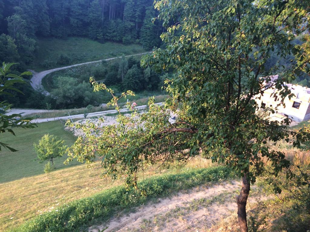 Cabana 7 Brazi Poiana Mărului Esterno foto