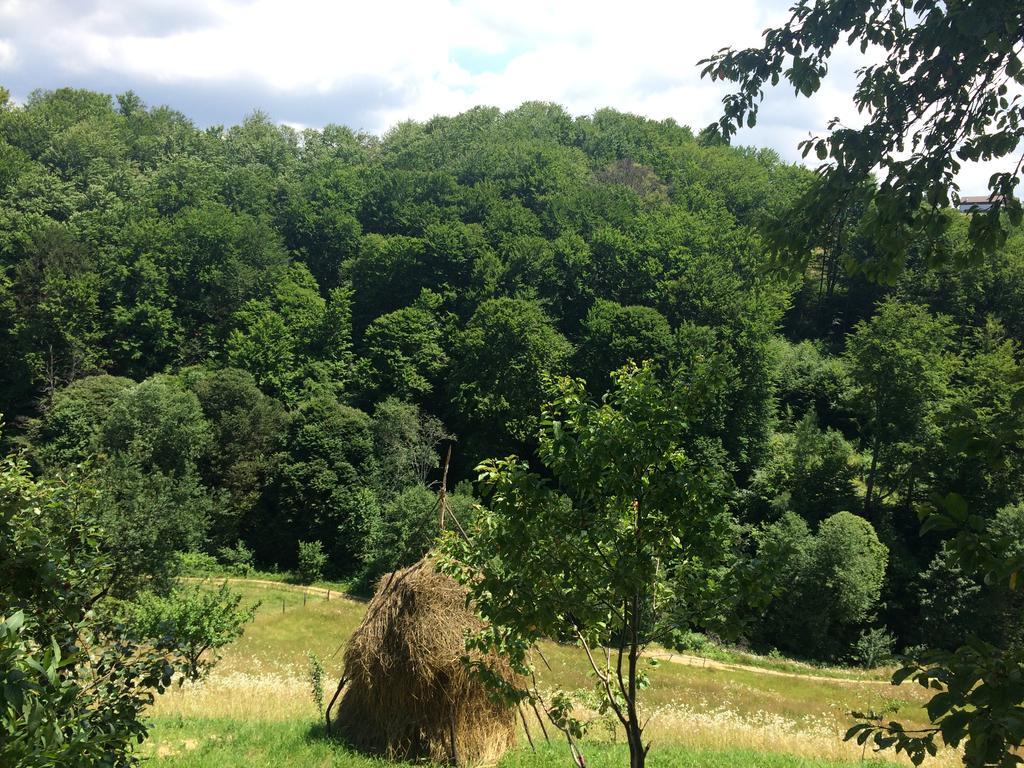 Cabana 7 Brazi Poiana Mărului Esterno foto