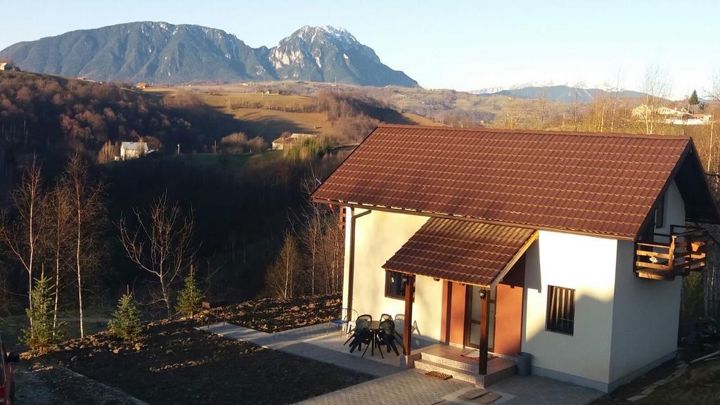 Cabana 7 Brazi Poiana Mărului Esterno foto