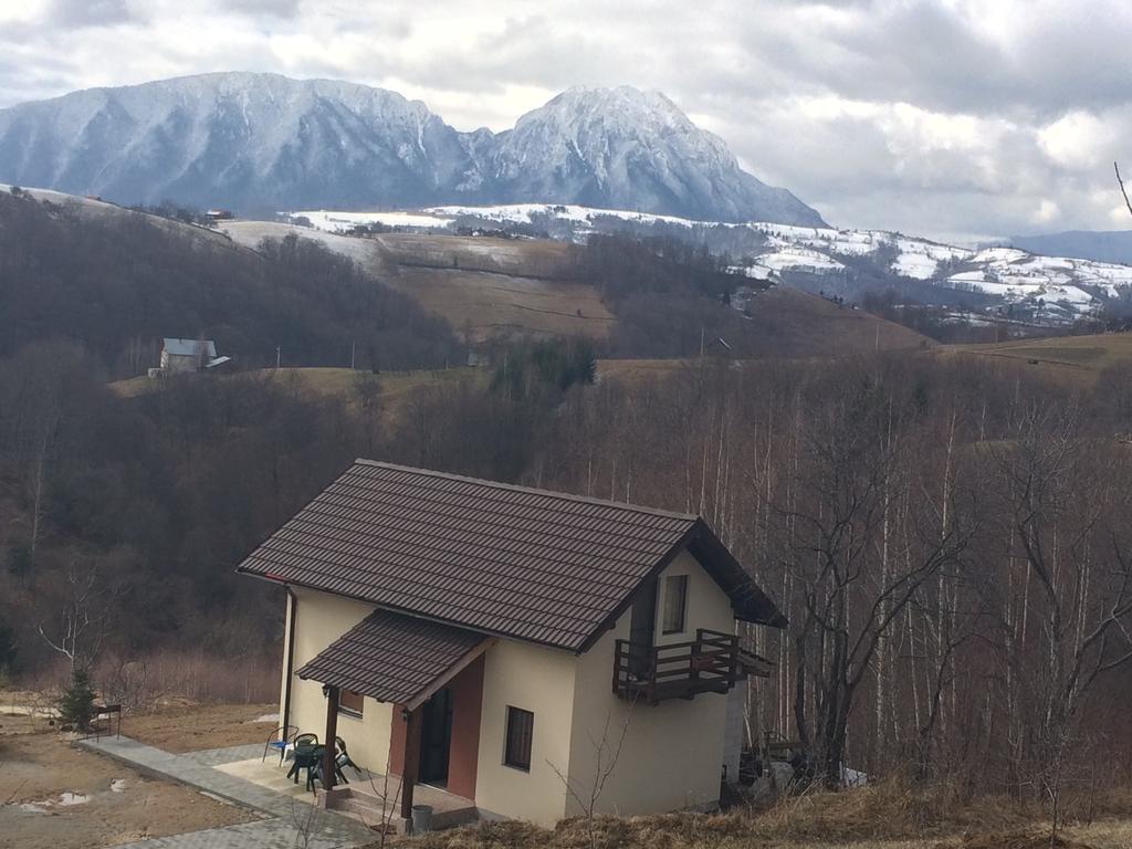 Cabana 7 Brazi Poiana Mărului Esterno foto