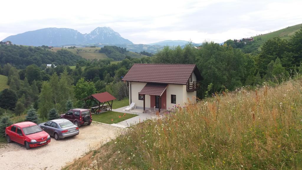 Cabana 7 Brazi Poiana Mărului Esterno foto