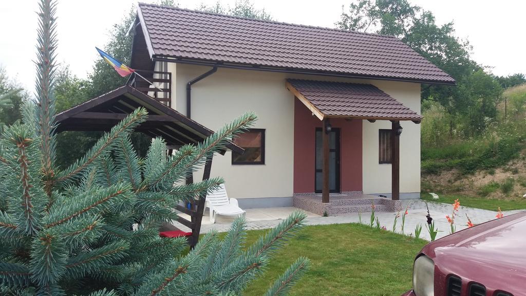 Cabana 7 Brazi Poiana Mărului Esterno foto