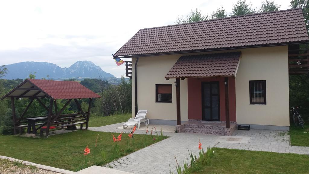 Cabana 7 Brazi Poiana Mărului Esterno foto