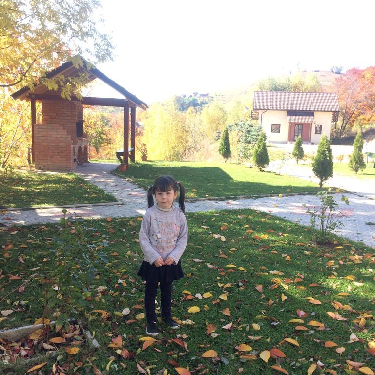 Cabana 7 Brazi Poiana Mărului Esterno foto