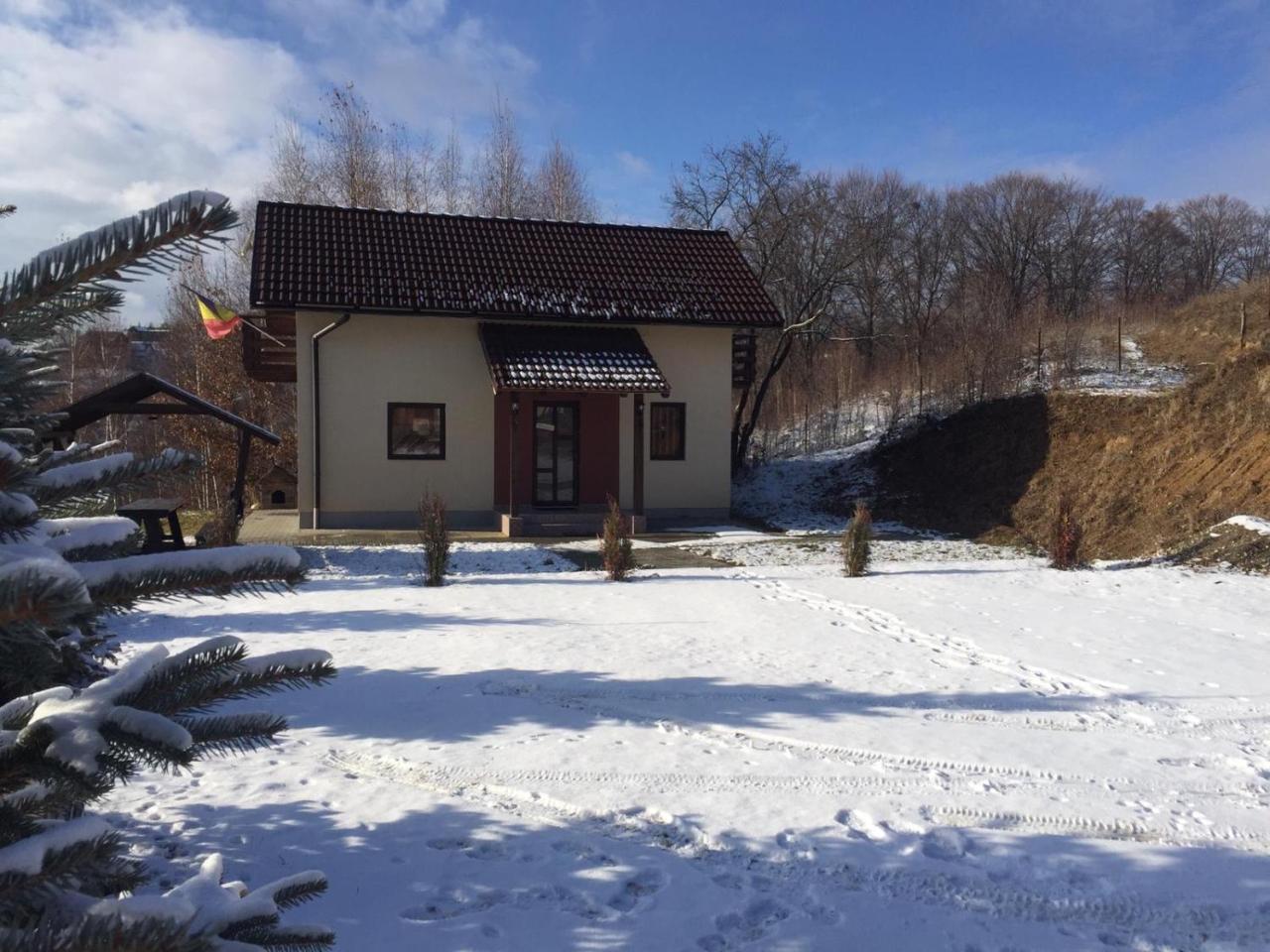 Cabana 7 Brazi Poiana Mărului Esterno foto