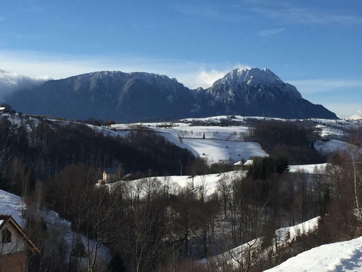 Cabana 7 Brazi Poiana Mărului Esterno foto
