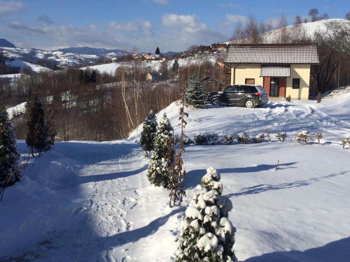 Cabana 7 Brazi Poiana Mărului Esterno foto
