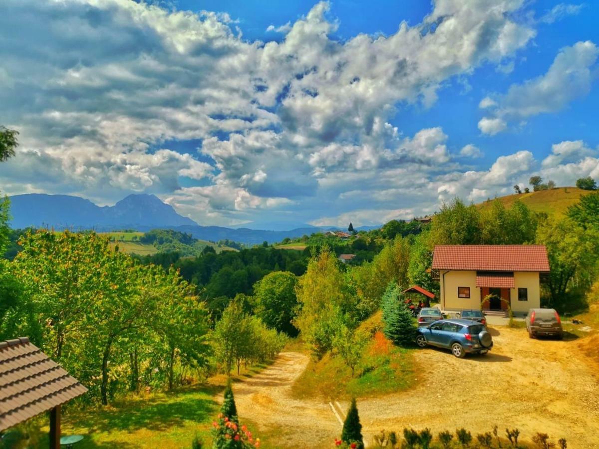 Cabana 7 Brazi Poiana Mărului Esterno foto